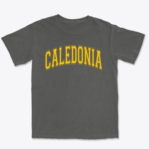 Caledonia Elementary School Varsity Arch Premium Heavyweight T-shirt