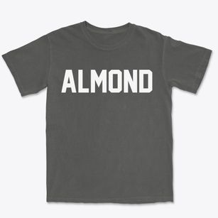 Almond New York Classic Block Premium Heavyweight T-shirt