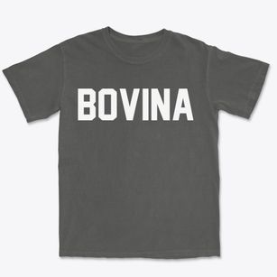 Bovina New York Classic Block Premium Heavyweight T-shirt