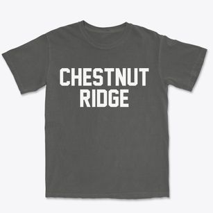Chestnut Ridge New York Classic Block Premium Heavyweight T-shirt