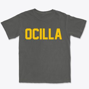 Ocilla Georgia Classic Block Premium Heavyweight T-shirt