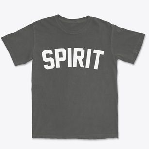 Spirit Wisconsin Classic Curve Premium Heavyweight T-shirt