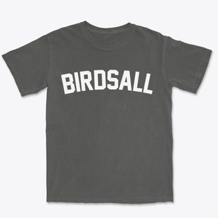 Birdsall New York Classic Curve Premium Heavyweight T-shirt
