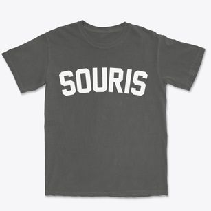 Souris North Dakota Classic Curve Premium Heavyweight T-shirt