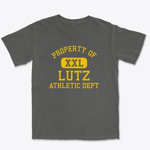 Lutz Florida Athletic Dept Premium Heavyweight T-shirt