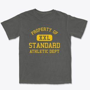 Standard Illinois Athletic Dept Premium Heavyweight T-shirt