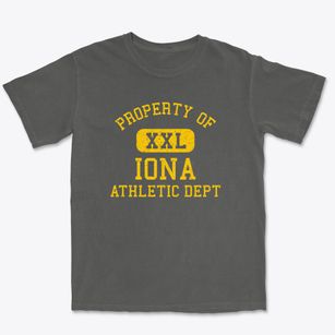 Iona Minnesota Athletic Dept Premium Heavyweight T-shirt