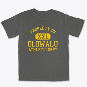 Olowalu Hawaii Athletic Dept Premium Heavyweight T-shirt