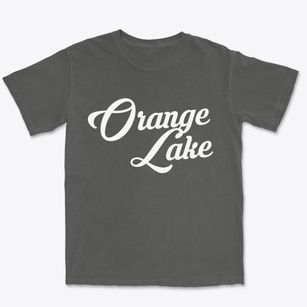 Orange Lake New York Vintage Team Premium Heavyweight T-shirt