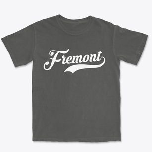 Fremont New York Vintage Team Premium Heavyweight T-shirt