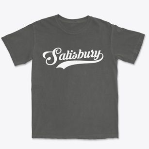 Salisbury New York Vintage Team Premium Heavyweight T-shirt