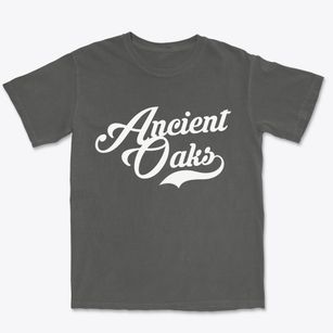 Ancient Oaks Pennsylvania Vintage Team Premium Heavyweight T-shirt