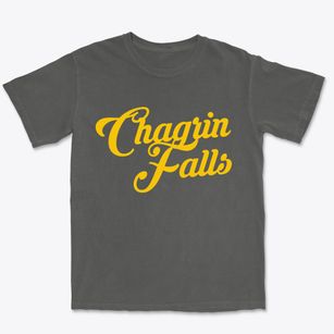 Chagrin Falls Ohio Vintage Team Premium Heavyweight T-shirt
