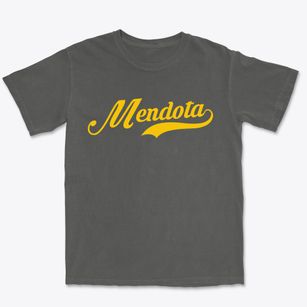 Mendota Minnesota Vintage Team Premium Heavyweight T-shirt