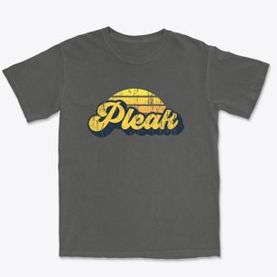 Pleak Texas Sublime Sunset Premium Heavyweight T-shirt
