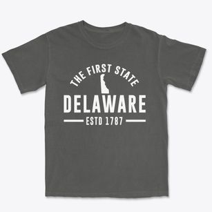  Delaware Motto Premium Heavyweight T-shirt