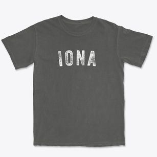 Iona Minnesota Timeless Retro Premium Heavyweight T-shirt