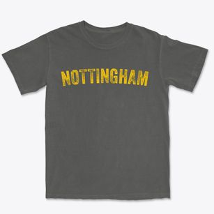 Nottingham New Hampshire Timeless Retro Premium Heavyweight T-shirt