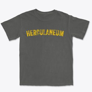 Herculaneum Missouri Timeless Retro Premium Heavyweight T-shirt