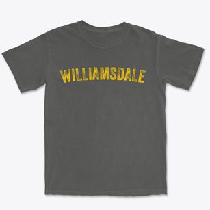 Williamsdale Ohio Timeless Retro Premium Heavyweight T-shirt