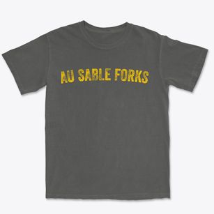 Au Sable Forks New York Timeless Retro Premium Heavyweight T-shirt