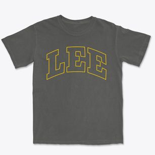 Lee New Hampshire Trendy Block Premium Heavyweight T-shirt