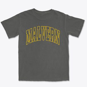 Malvern Ohio Trendy Block Premium Heavyweight T-shirt