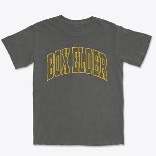 Box Elder South Dakota Trendy Block Premium Heavyweight T-shirt