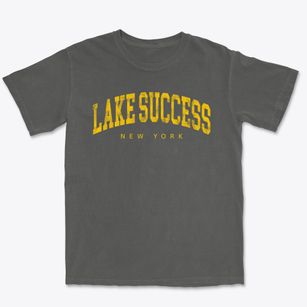 Lake Success New York Urban Vibe Premium Heavyweight T-shirt
