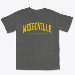 Mingoville Pennsylvania Urban Vibe Premium Heavyweight T-shirt