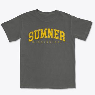 Sumner Mississippi Urban Vibe Premium Heavyweight T-shirt