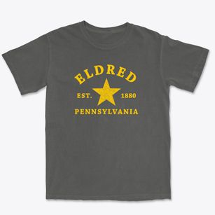 Eldred Pennsylvania Star Premium Heavyweight T-shirt