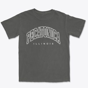 Pecatonica Illinois Inline Premium Heavyweight T-shirt