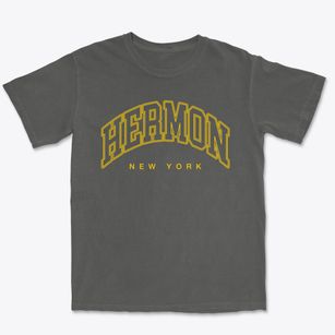 Hermon New York Inline Premium Heavyweight T-shirt