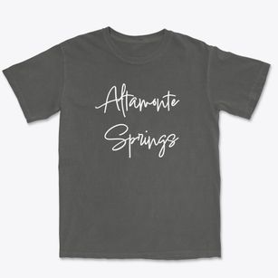 Altamonte Springs Florida Freestyle Premium Heavyweight T-shirt