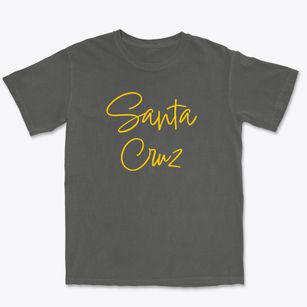 Santa Cruz Texas Freestyle Premium Heavyweight T-shirt