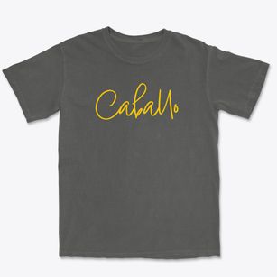Caballo New Mexico Freestyle Premium Heavyweight T-shirt