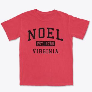 Noel Virginia Classic Established Premium Heavyweight T-shirt