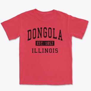 Dongola Illinois Classic Established Premium Heavyweight T-shirt