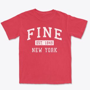 Fine New York Classic Established Premium Heavyweight T-shirt