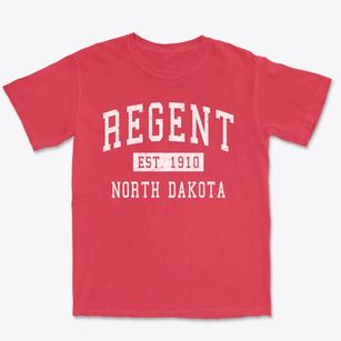 Regent North Dakota Classic Established Premium Heavyweight T-shirt
