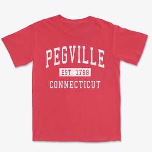 Pegville Connecticut Classic Established Premium Heavyweight T-shirt