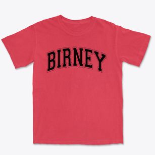 Birney Elementary School Varsity Arch Premium Heavyweight T-shirt