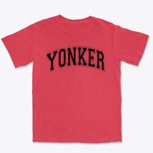 Yonker Public School 5 Varsity Arch Premium Heavyweight T-shirt
