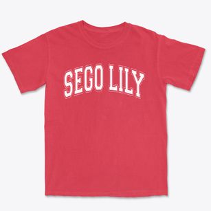 Sego Lily Elementary School Varsity Arch Premium Heavyweight T-shirt