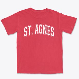 St. Agnes Elementary School Varsity Arch Premium Heavyweight T-shirt