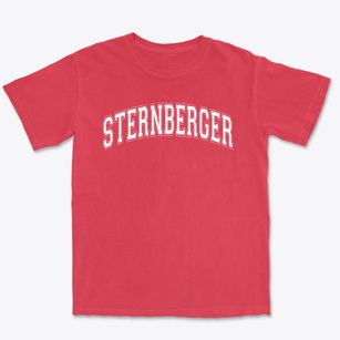 Sternberger Elementary School Varsity Arch Premium Heavyweight T-shirt