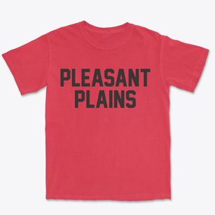 Pleasant Plains Arkansas Classic Block Premium Heavyweight T-shirt