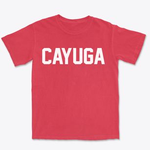 Cayuga New York Classic Block Premium Heavyweight T-shirt