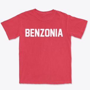 Benzonia Michigan Classic Block Premium Heavyweight T-shirt